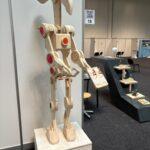 fe6ed453 77fa 4460 bd9c d6b37b105ad8 1